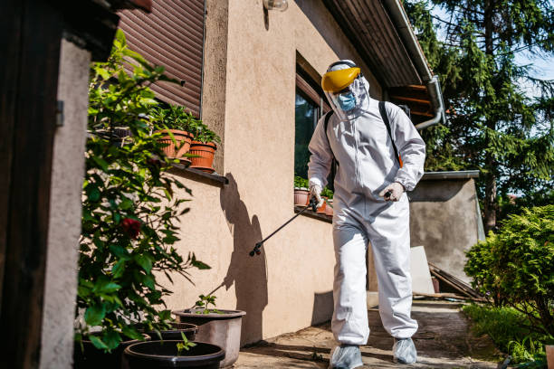 Best Exterminator Services  in Ashford, AL