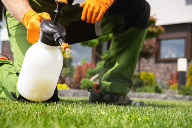 Best Pest Inspection Near Me  in Ashford, AL