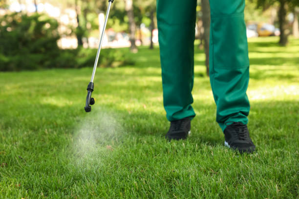 Best Wasp Removal Services  in Ashford, AL