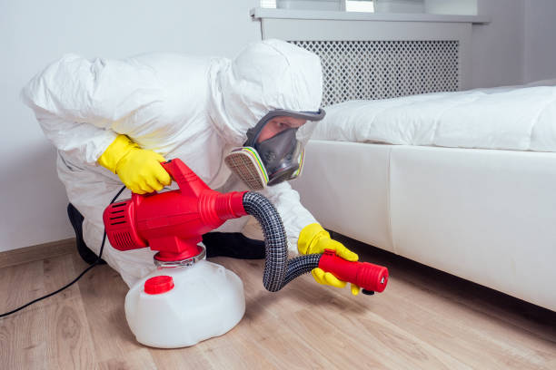 Best Termite Control Services  in Ashford, AL