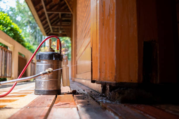Best Commercial Pest Control Services  in Ashford, AL