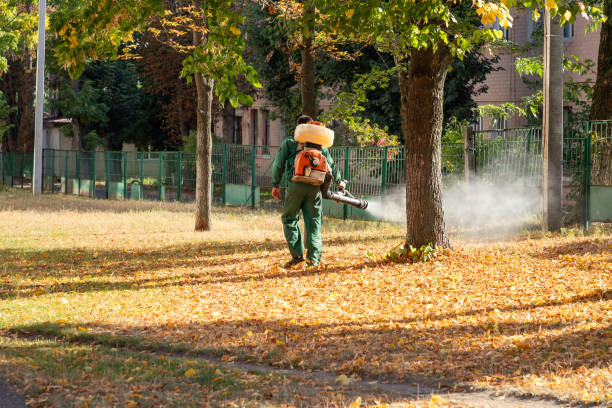 Best Best Pest Control Companies  in Ashford, AL