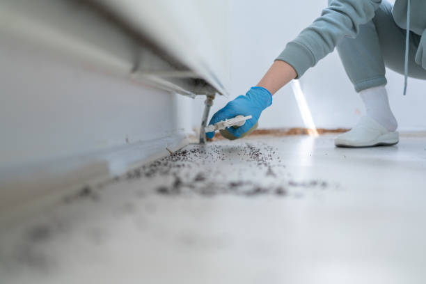Pest Prevention Services in Ashford, AL